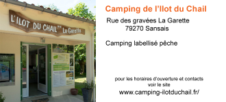 camp--lg